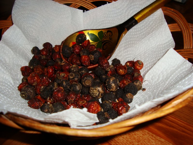 Вкусный и полезный шиповник