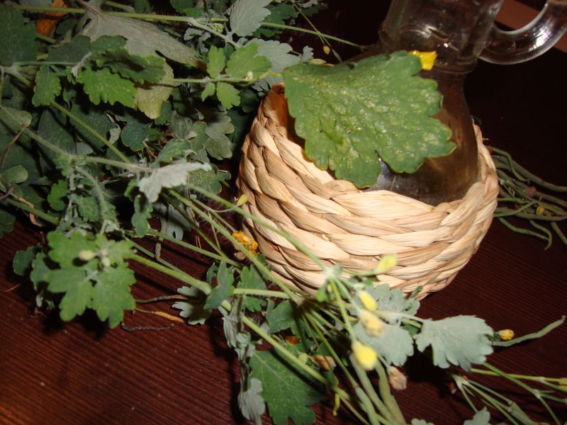 Масло из чистотела