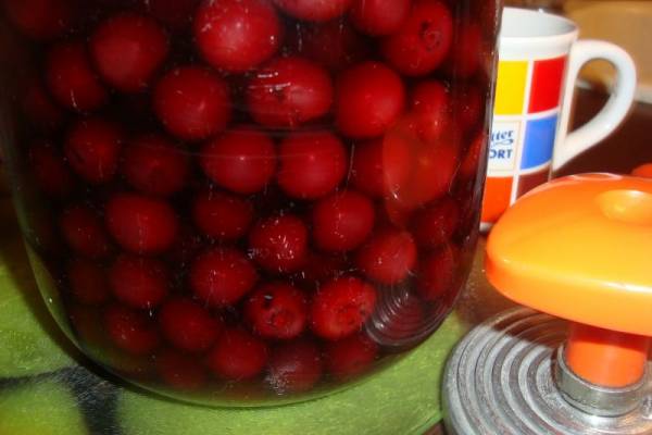 Компот из вишни