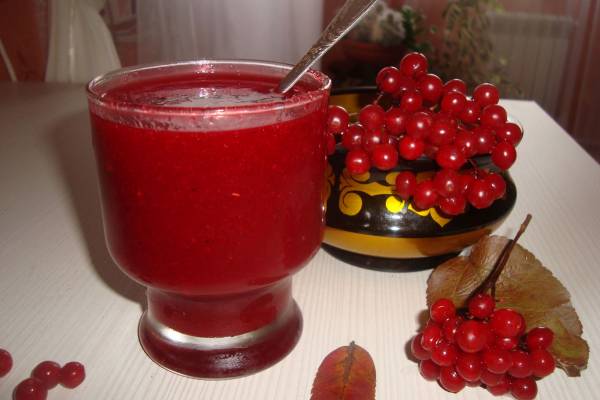 Сырое калиновое варенье с апельсином