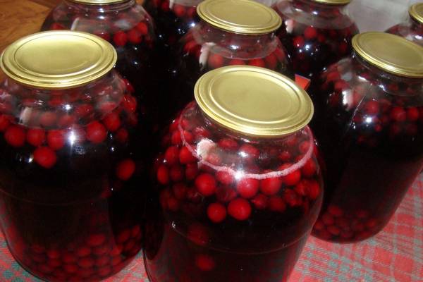 Компот из вишни с черной смородиной