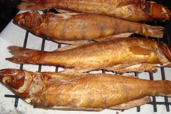 Судак горячего копчения