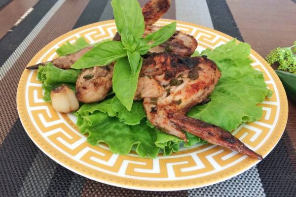 Шашлык из куриных крылышек с гранатовым соком