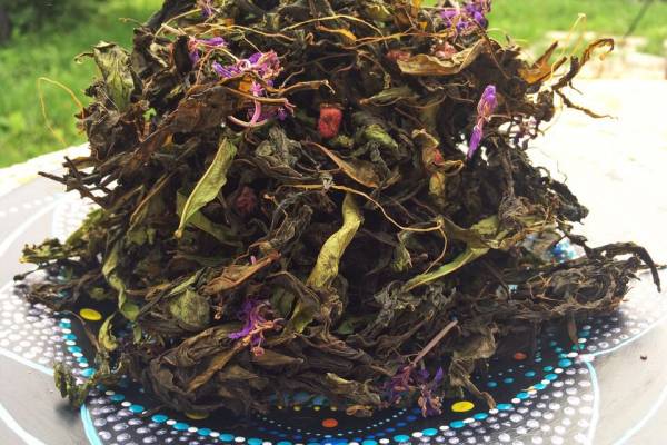 Персональный Иван-чай