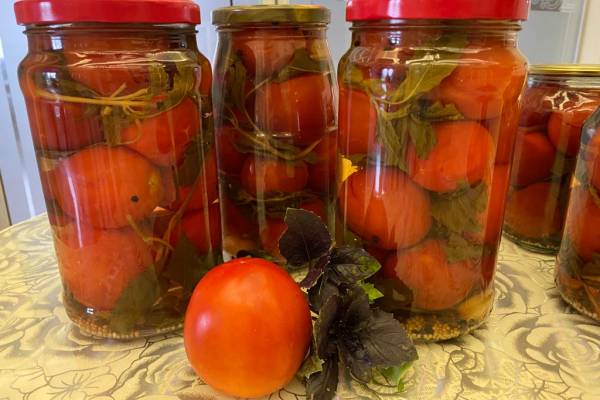 Помидоры с базиликомна зиму 