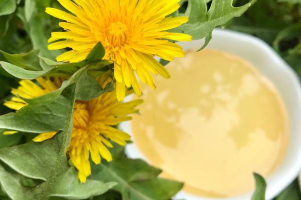 Варенье из одуванчиков