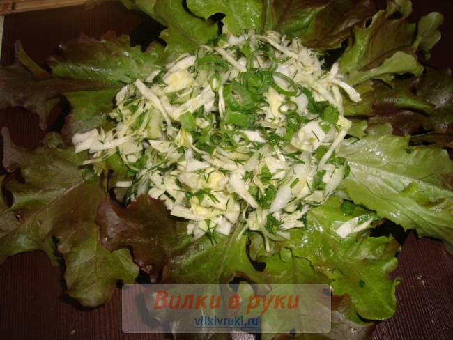 Салат из ранней капусты с зеленью