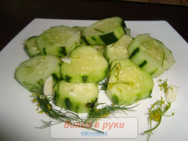 Малосольные огурцы