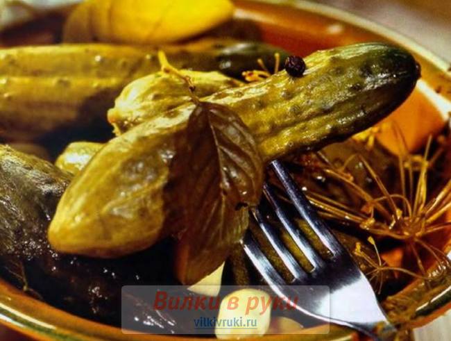 Засолка огурцов холодным способом