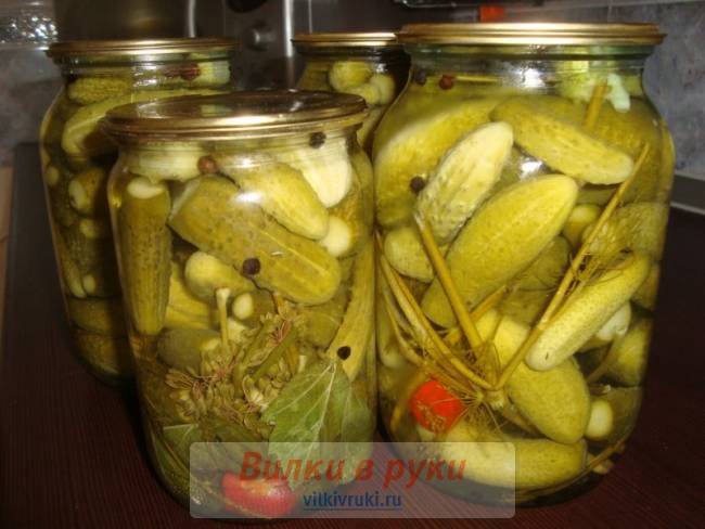 Маринованные корнишоны