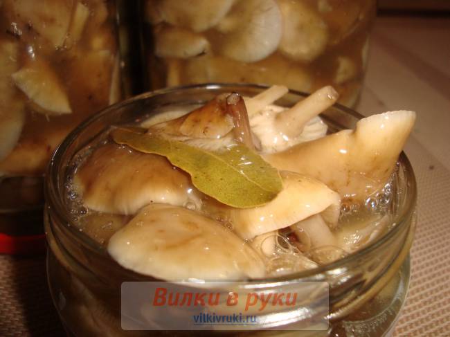 Маринованные опята