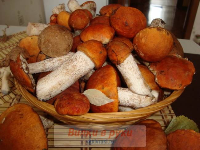 Сушка грибов