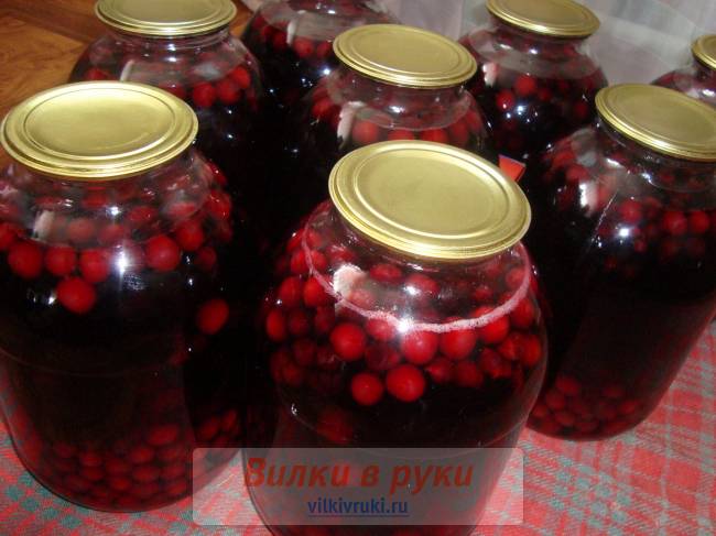 Компот из вишни с черной смородиной