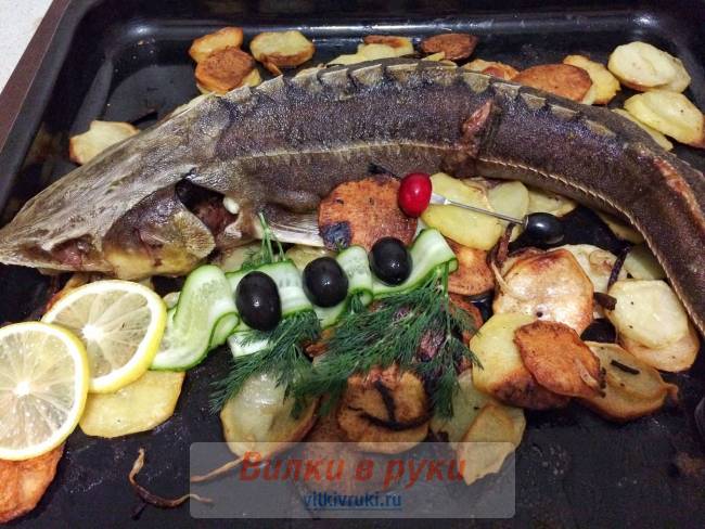 Стерлядь запеченная с картофелем