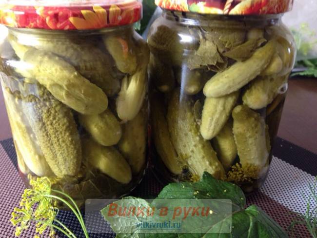 Острые маринованные огурчики