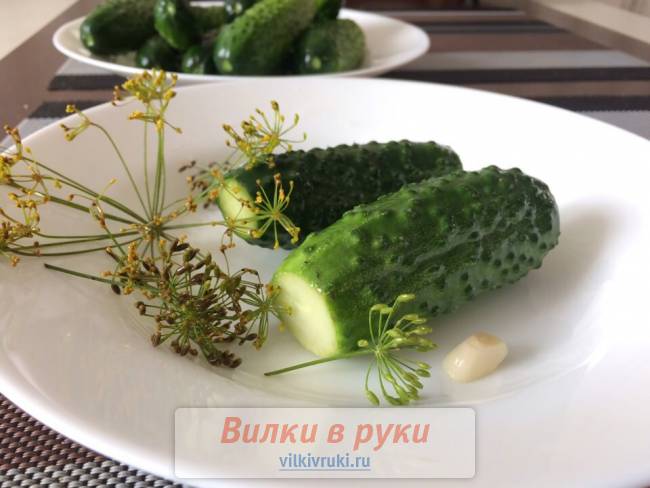 Малосольные огурцы на минеральной воде