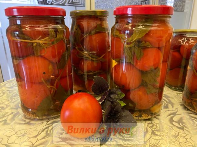 Помидоры с базиликомна зиму 